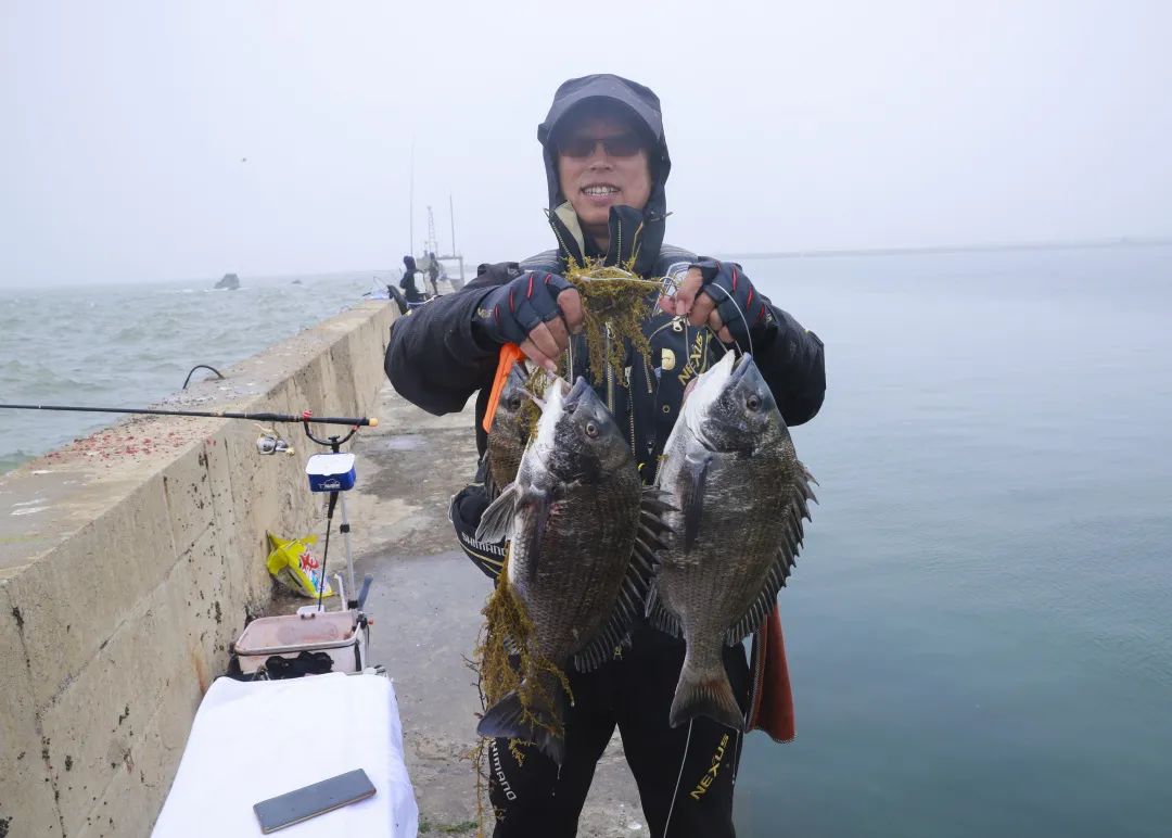 同時,平島作為鑫玉龍三產融合的重要發展與展示平臺,在以海參為支柱